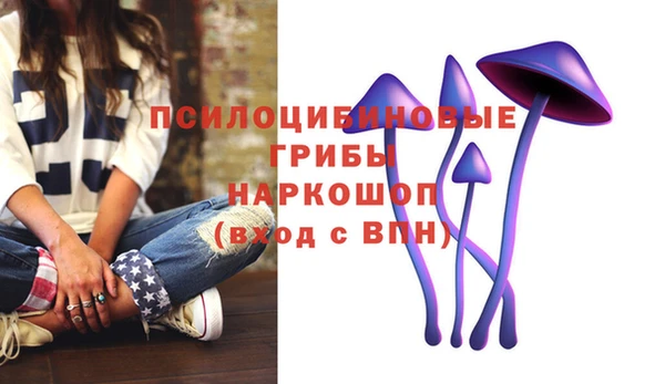 spice Горнозаводск