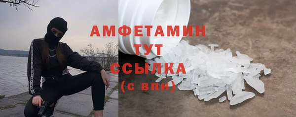 прущие грибы Вяземский