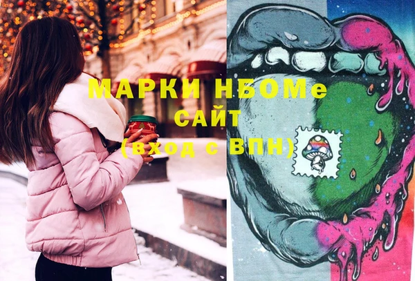 прущие грибы Вяземский