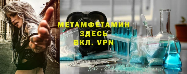 прущие грибы Вяземский