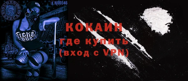 прущие грибы Вяземский