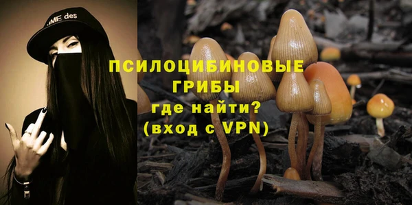 прущие грибы Вяземский
