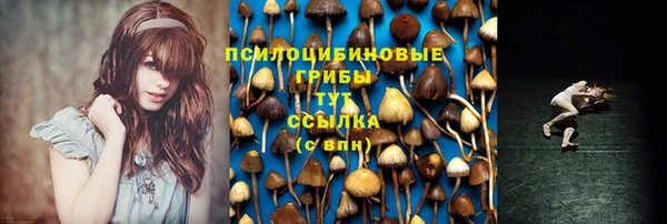 прущий лед Володарск